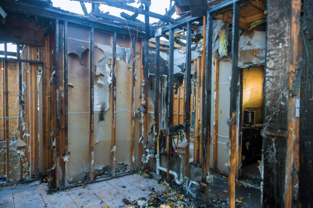Professional Smoke Damage Removal technician working in Clearlake Riviera, CA